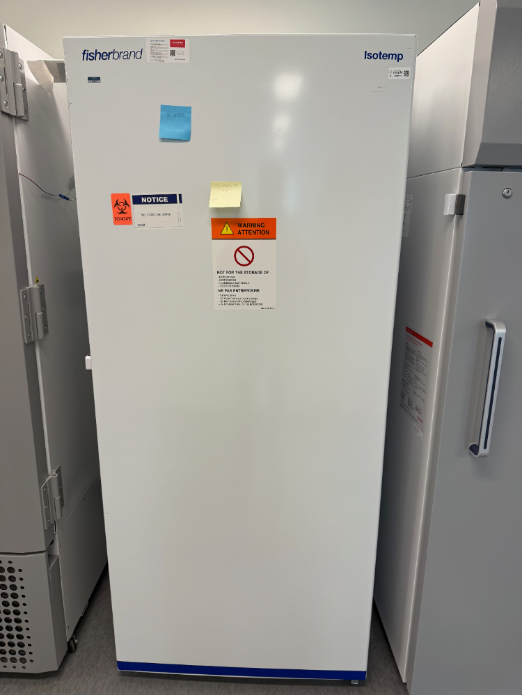 Image of Fisherbrand Isotemp  Laboratory Freezer  Upright